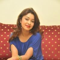 Payal Ghosh hot in Mini Blue dress - Photos | Picture 102714